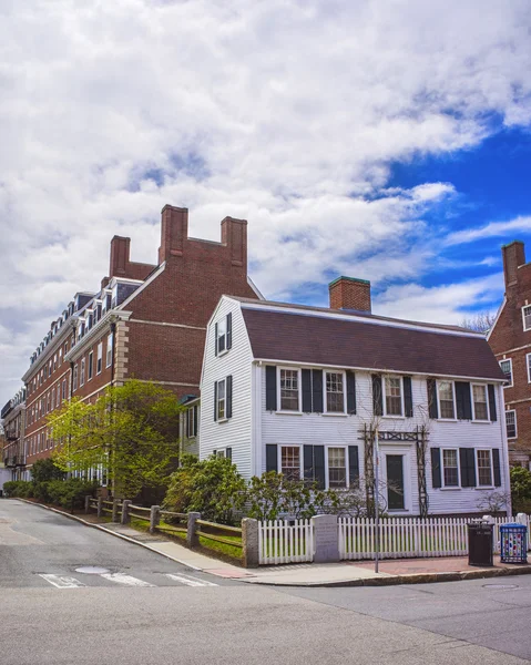 John F Kennedy Street em Harvard University Area em Cambridge — Fotografia de Stock