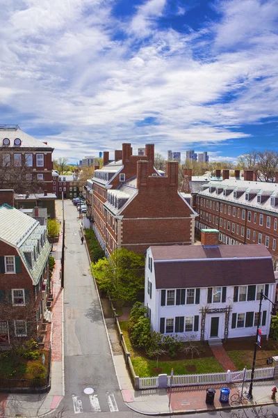 Cambridge Harvard Üniversitesi Alanı John Kennedy Street — Stok fotoğraf