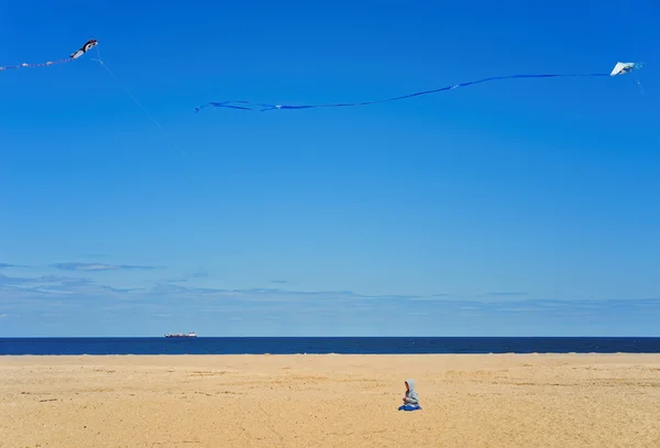 Criança e papel pipas acima da costa do oceano em Sandy Hook — Fotografia de Stock