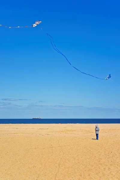 Criança e papel pipa acima da costa do oceano em Sandy Hook — Fotografia de Stock