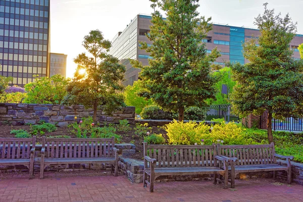 Romantischer sonnenuntergang im park in philadelphia pa — Stockfoto