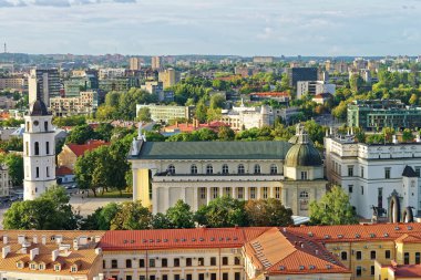 Litvanya Vilnius Katedral Meydanı