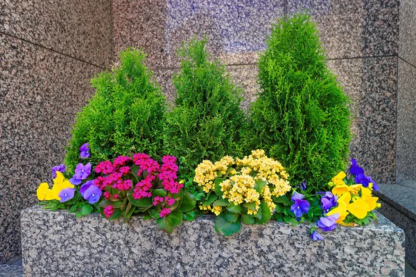 Květinové postel v centru města Filadelfie — Stock fotografie