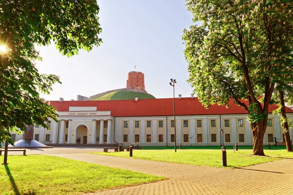 Gediminas-torony és a Litván Nemzeti Múzeum — Stock Fotó