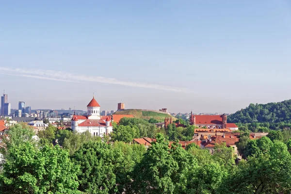 Castillo Superior y la Catedral de los Theotokos en Vilna — Foto de Stock