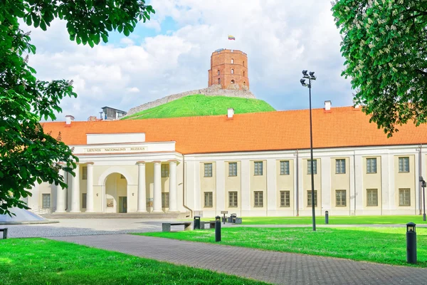 Wieża Giedymina i Narodowego Muzeum Litwy w Wilnie — Zdjęcie stockowe