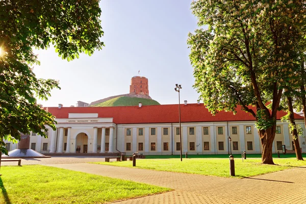 Gediminas-torony és a Litván Nemzeti Múzeum — Stock Fotó