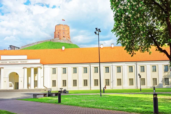 Národní muzeum a věže Gediminas v Vilnius — Stock fotografie