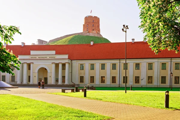 A Litván Nemzeti Múzeum és a Gediminas-torony — Stock Fotó