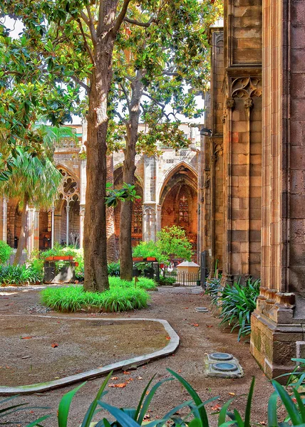 Klooster in de kathedraal van Barcelona in de gotische wijk — Stockfoto
