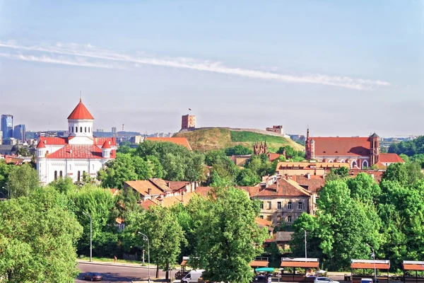 Castello Superiore e Cattedrale della Theotokos nella città di Vilnius — Foto Stock