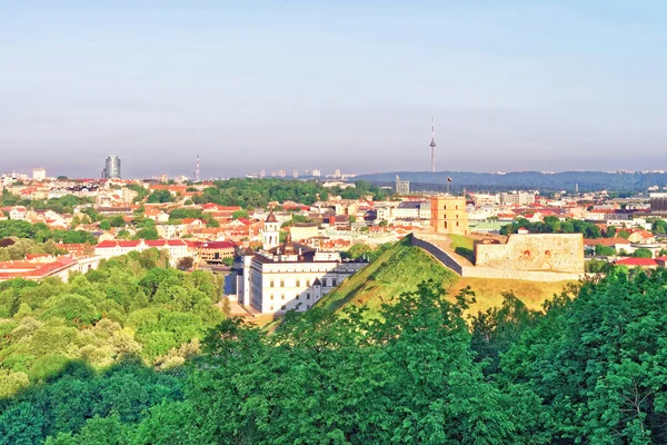 Torre Gediminas e Castello Inferiore a Vilnius in Lituania — Foto Stock