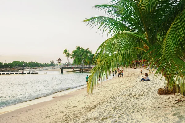 在圣淘沙西乐索海滩游客岛屿度假村在新加坡 — 图库照片