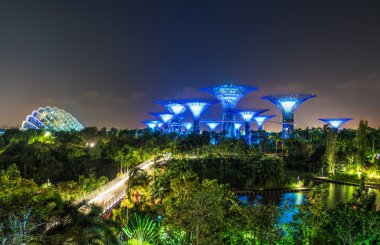Singapur merkezinde Bay tarafından Gardens Supertree koru