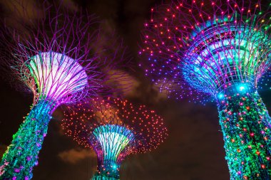 Singapur Körfezi'nde Gardens Supertrees koru