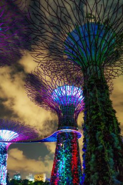 Singapur merkezinde Bay tarafından Gardens supertrees koru