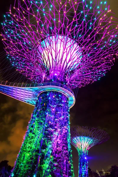 由新加坡中心湾花园遗传工程格罗夫 — 图库照片