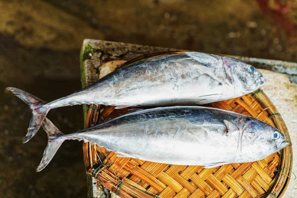 Menjual ikan segar di pasar jalanan di Vietnam — Stok Foto