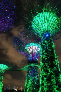 Singapur Körfezi'nde Gardens Supertree koru