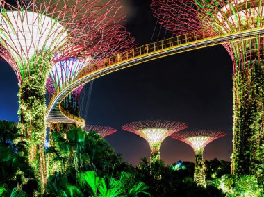 Singapur Körfezi'ndeki Gardens'ta Supertree korusu