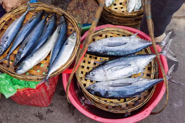 Ikan segar di pasar jalanan di Vietnam — Stok Foto