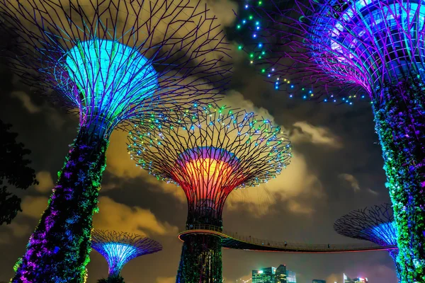 Singapur Körfezi'ndeki Gardens'ta Supertrees korusu — Stok fotoğraf