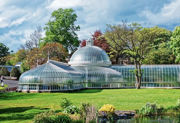 Jardim Botânico de Glasgow — Fotografia de Stock