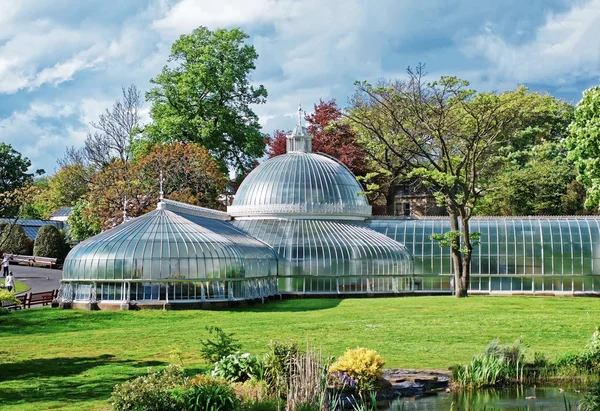 Giardini botanici di Glasgow Immagine Stock