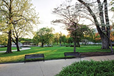 National Mall park yolundaki yakınındaki banklar