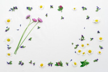 Çerçeve alanı çiçek yonca ve papatya