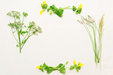 İle yeşil alan çim ve Sarı zemin çiçek