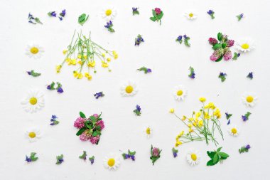 Düğünçiçeği yonca papatya ve alan çiçek beyaz çerçeveli