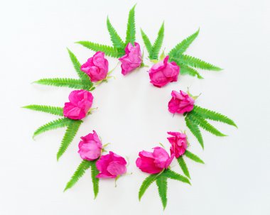 Pembe güller ve yeşil eğreltiotu yaprakları ile çelenk