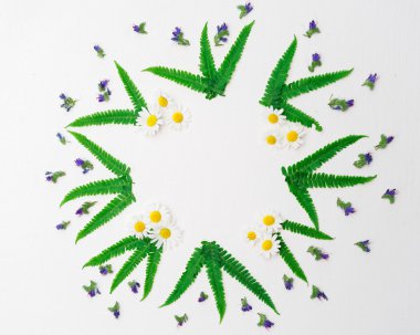 Papatya mor kır çiçekleri ve yaprakları eğreltiotu çelenk