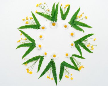 Çelenk papatya Düğünçiçeği ve fern ile