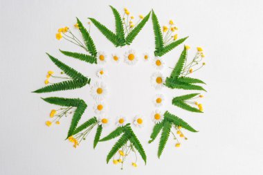 Çelenk papatya Düğünçiçeği ve yeşil fern ile