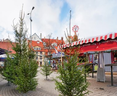 Noel ağaçları Riga eski kasaba Livu kare