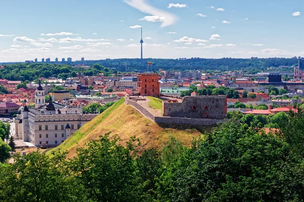 Torre e Castello inferiore dei Granduchi a Vilnius Lituania — Foto Stock
