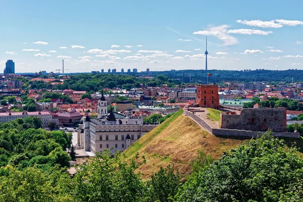 Torre e Castello Inferiore a Vilnius in Lituania — Foto Stock