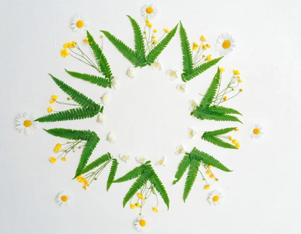 Corona de jazmín manzanilla ranúnculo y helecho verde — Foto de Stock