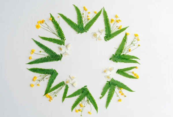 Corona de jazmín ranúnculo y hojas de helecho verde — Foto de Stock