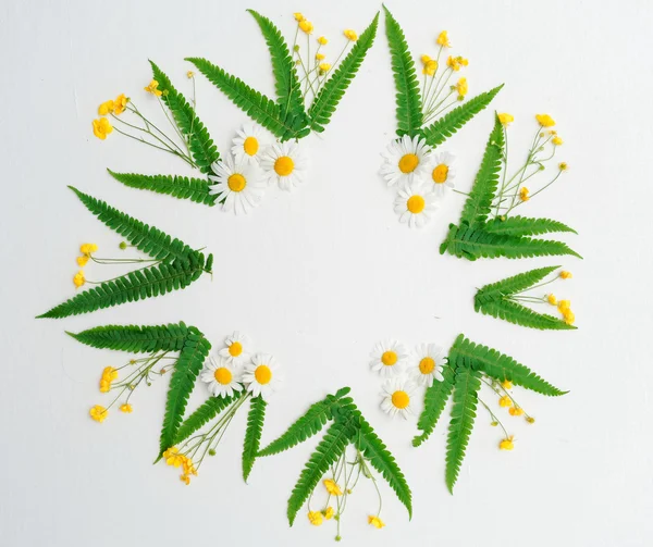 Corona de ranúnculo manzanilla y helecho verde — Foto de Stock