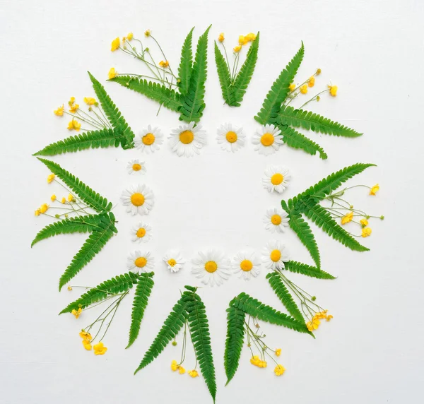 Corona con ranúnculo de manzanilla y hojas de helecho — Foto de Stock