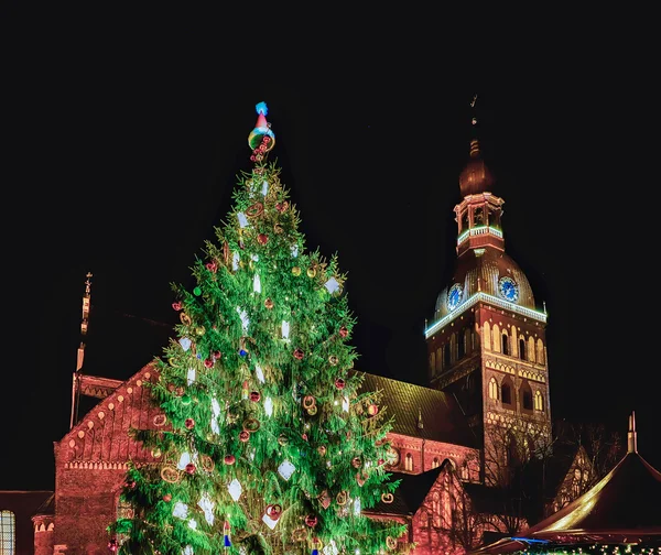 Árbol de Navidad en la Catedral de la Cúpula en Riga por la noche —  Fotos de Stock