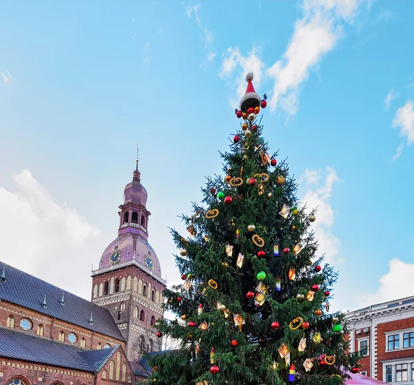 Árvore de Natal na Catedral da Cúpula em Riga — Fotografia de Stock