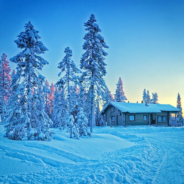 Casa de campo en el bosque de invierno nevado — Foto de Stock