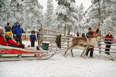Beginning of the race on the reindeer sledges