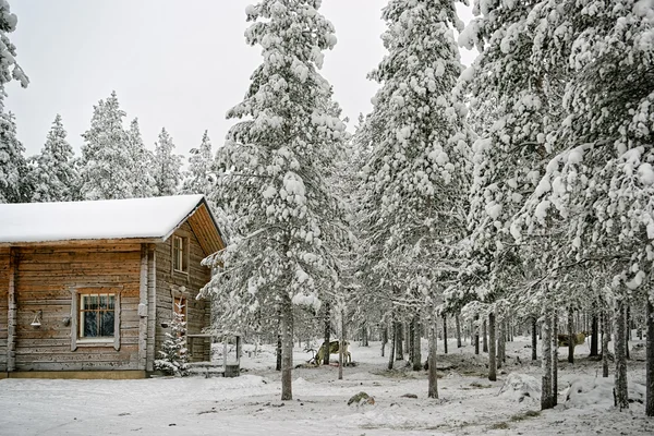 Renos cerca de casa de madera en invierno Laponia — Foto de Stock