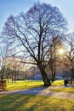 Winter park Riga'da Merkezi