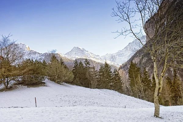 瑞士高山景观与艾格尔峰、 门和少女峰在地平线上 — 图库照片